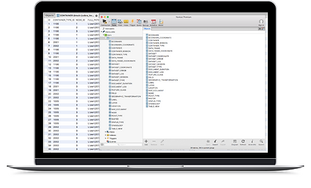 central database for ArcGIS enterprise data in SQLite, SQL Servers, and Oracle