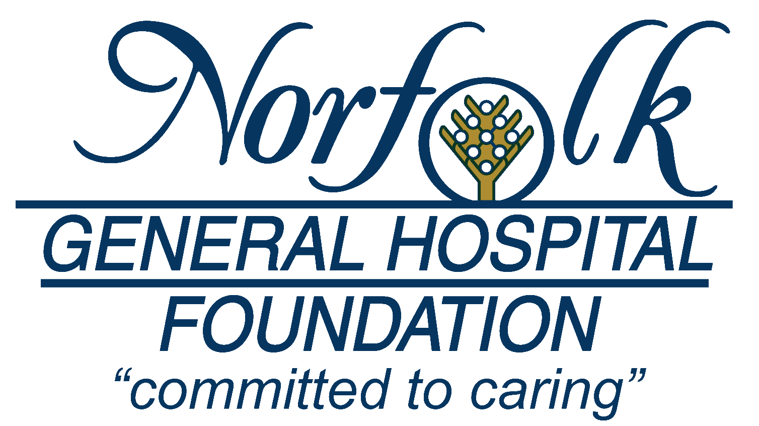 Foundation Transparent Blue Logo.gif