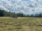IMG_4481.JPEG
