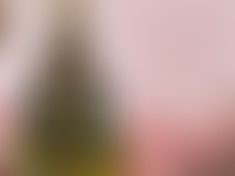 Caminhando com Maria - 28/10/25 ✓Maria Aleyo ✓Dete