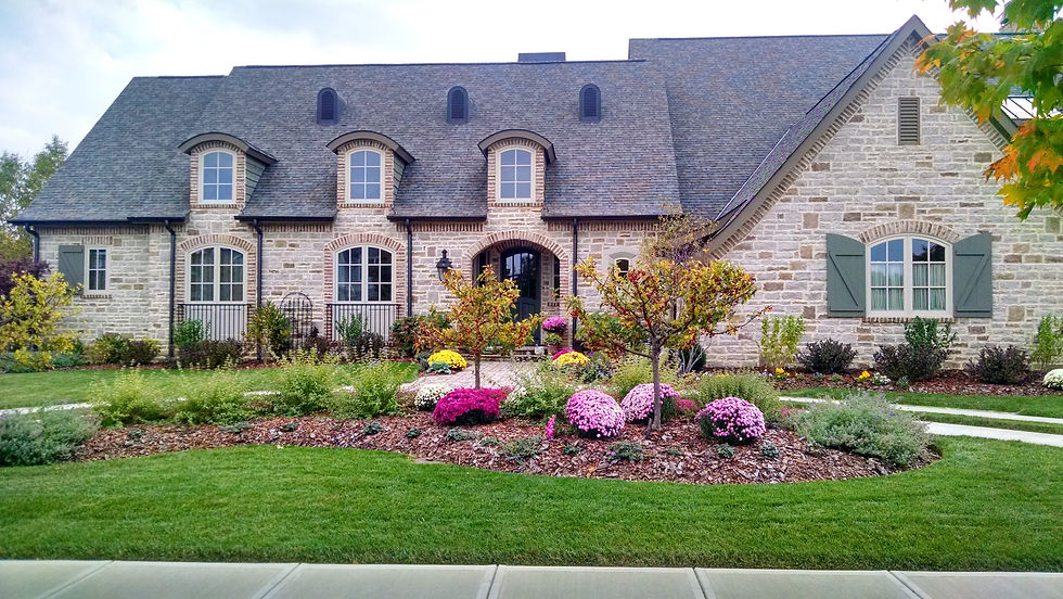 fall annual plantings