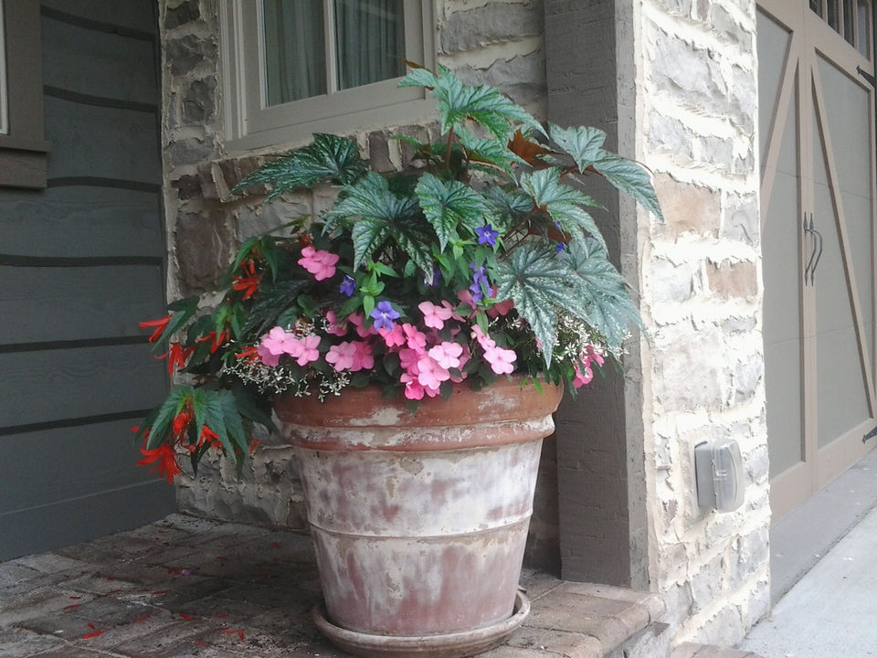 Container gardens, edible plants, raised beds, container vegetable garden, seasonal planters, herbs, 