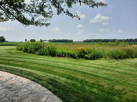 native perennial pollinator garden, wildflowers, prairies, ecofriendly, butterfly garden, 