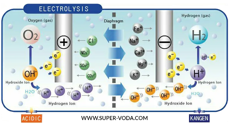 Канген вода_Электролиз воды_+7(926) 954-4100_www.super-voda.com