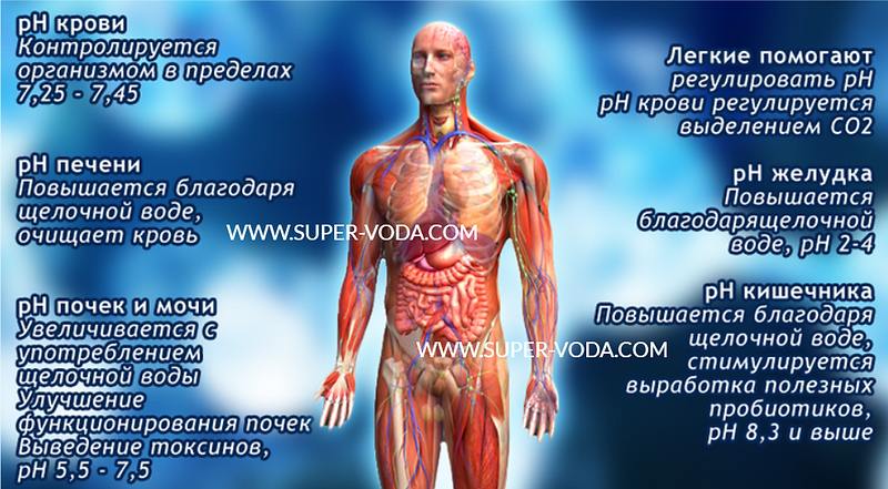 КИСЛОТНО-ЩЕЛОЧНОЙ БАЛАНС_+7(926) 954-4100_канген прибор купить недорого в Москве_www.super-voda.com