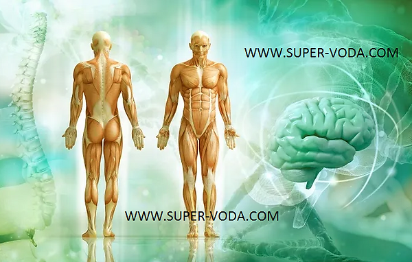 Водородная Канген Вода Восстановление Здоровья_+7(926) 954-41-00_www.super-voda.com