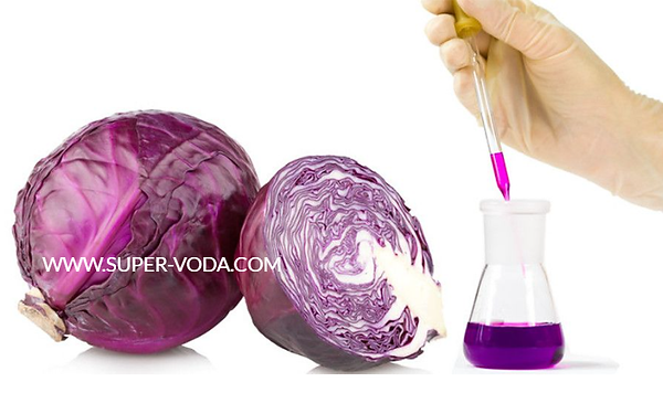 Определение значений рН экстрактами антоцианов_www.super-voda.com_+7(926) 954-4100