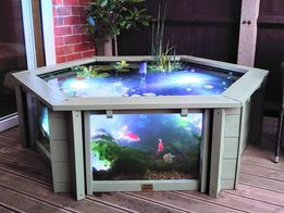 Thumbnail: Raised hexagon pond above and below ground with large windows - Lily Grey