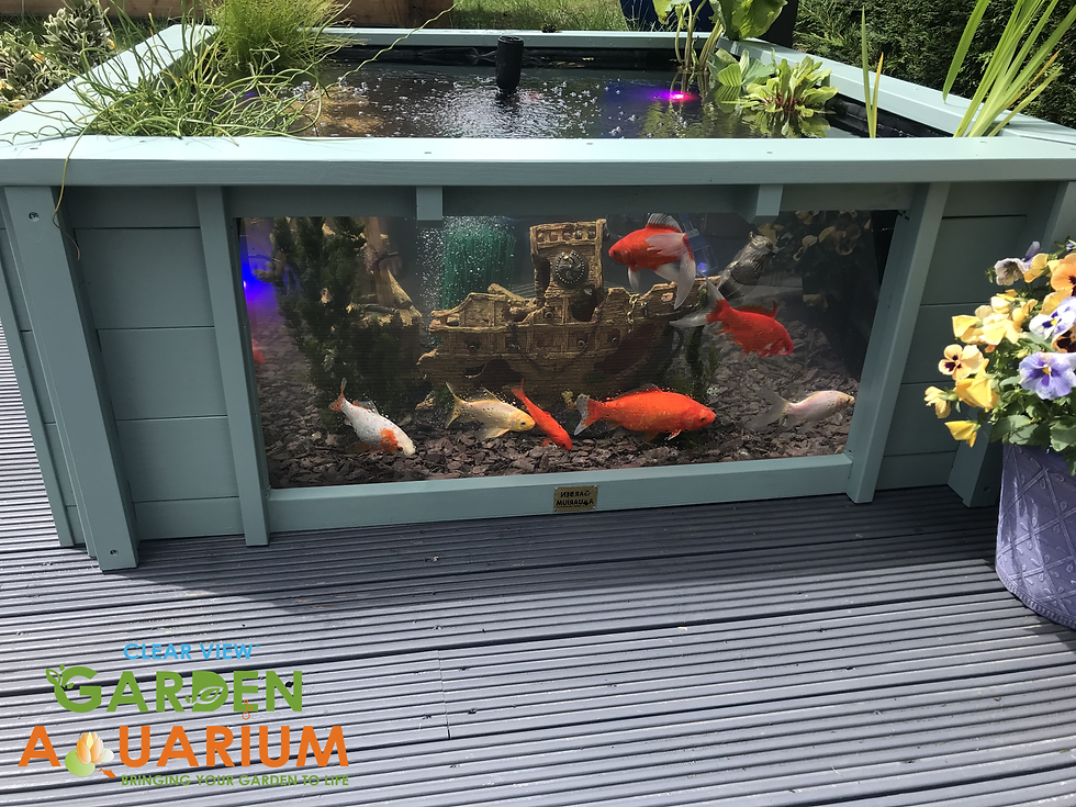 Miniaturbild: Erhöhter quadratischer Teich über und unter der Erde mit großen Fenstern – Lotusgrün