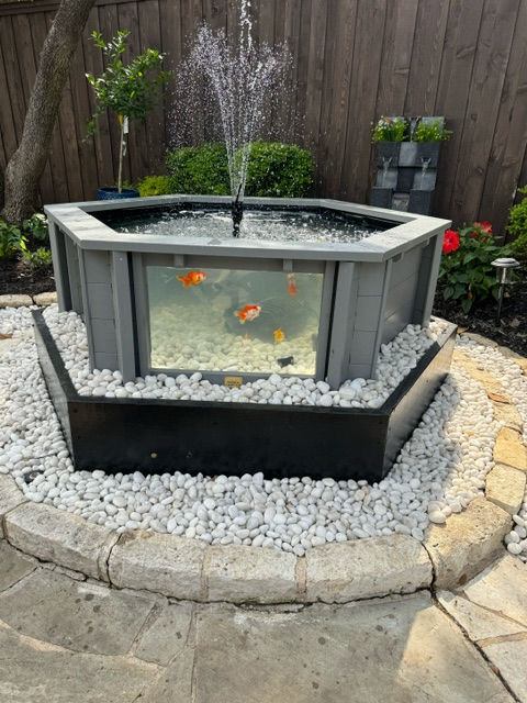 Thumbnail: Raised hexagon pond above and below ground with large windows - Lily Grey