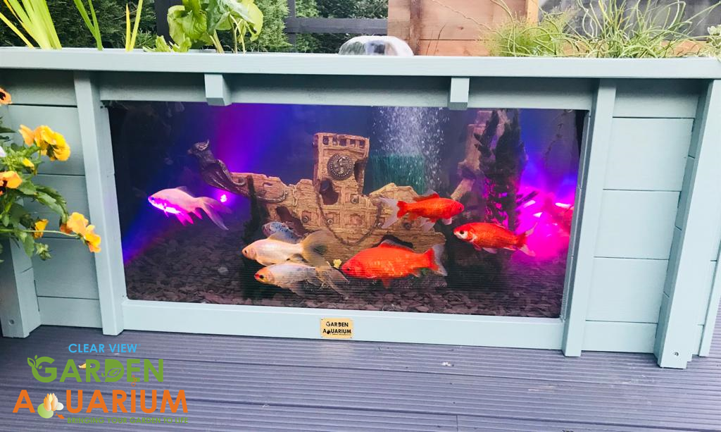 garden aquarium