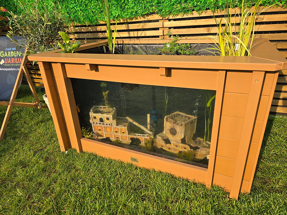 Miniaturbild: Erhöhter rechteckiger Teich mit großem Sichtfenster, Iris Clear View Gartenaquarium - Braun