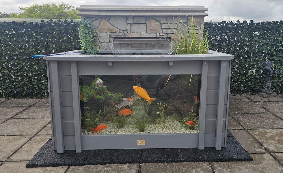 Create a Stunning Garden Pond in Minutes with a Clear View Garden Aquarium Pond Kit