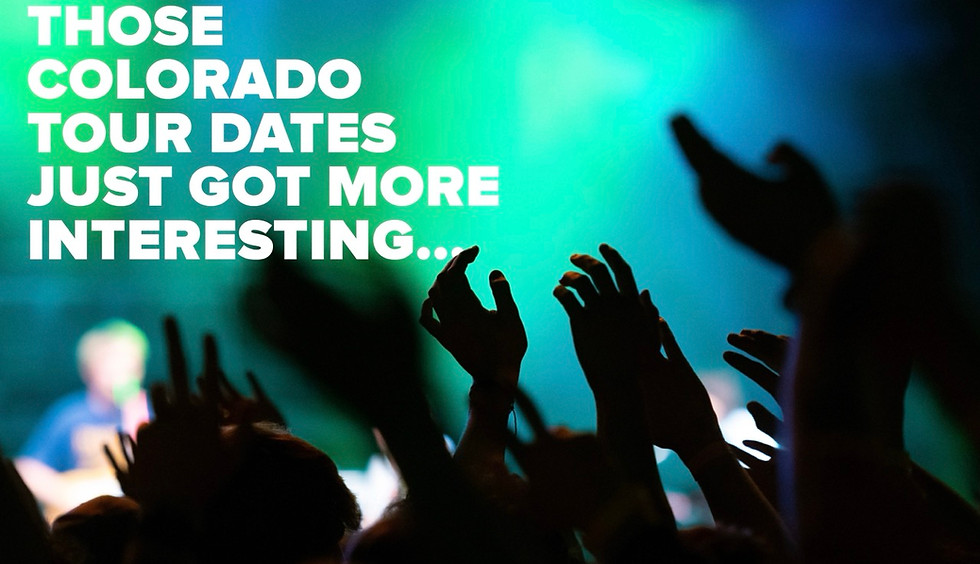 Screenshot 2024-11-11 at 3.41.08 PM Large.jpeg