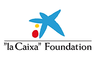 Lacaixa.png
