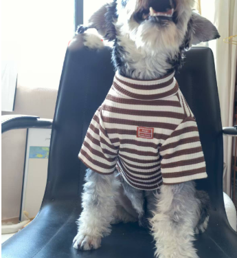 Miniatura: Ropa Ligera de Verano para Perros Pequeños