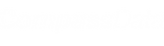 CompassData logo WHITE CLR.png