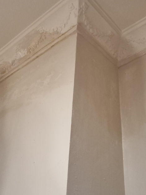 Bishops Plastering Northern Beaches plasterer North Shore Sydney ornate ceiling plaster repairs gyprock repairs