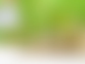 Kiradaki konutların değeri altını solladı