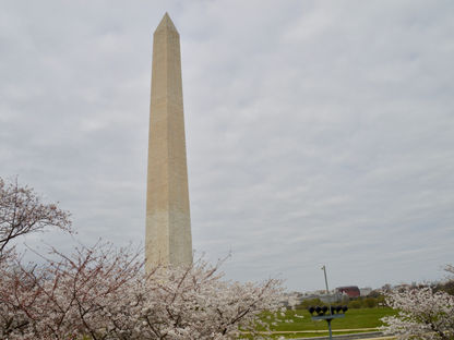 What You Need to Know About Visiting the Washington Monument