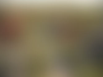 Bo-Staden ett nytt koncept för effektiv och varierad stadsutveckling