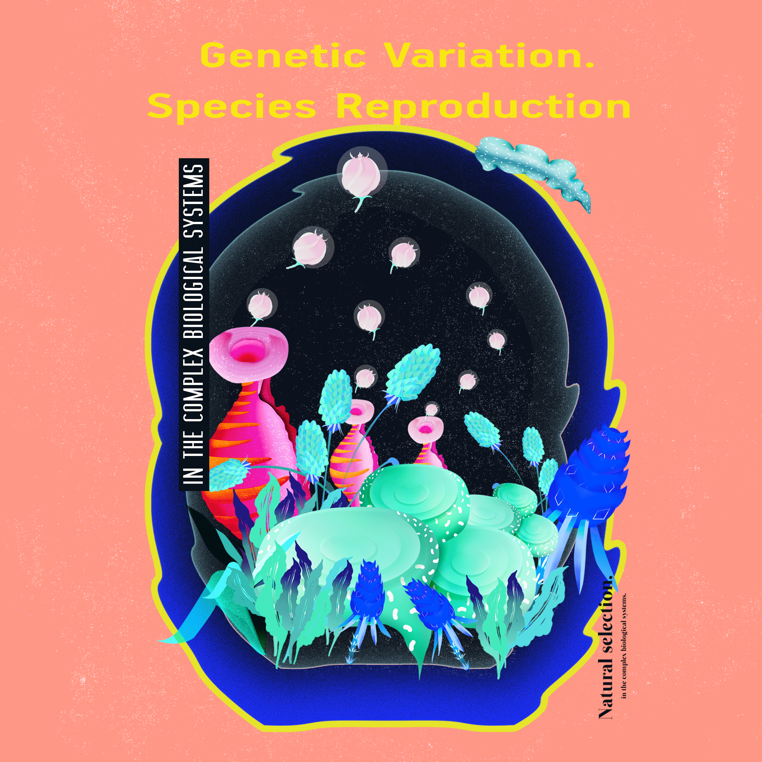 IG.gif