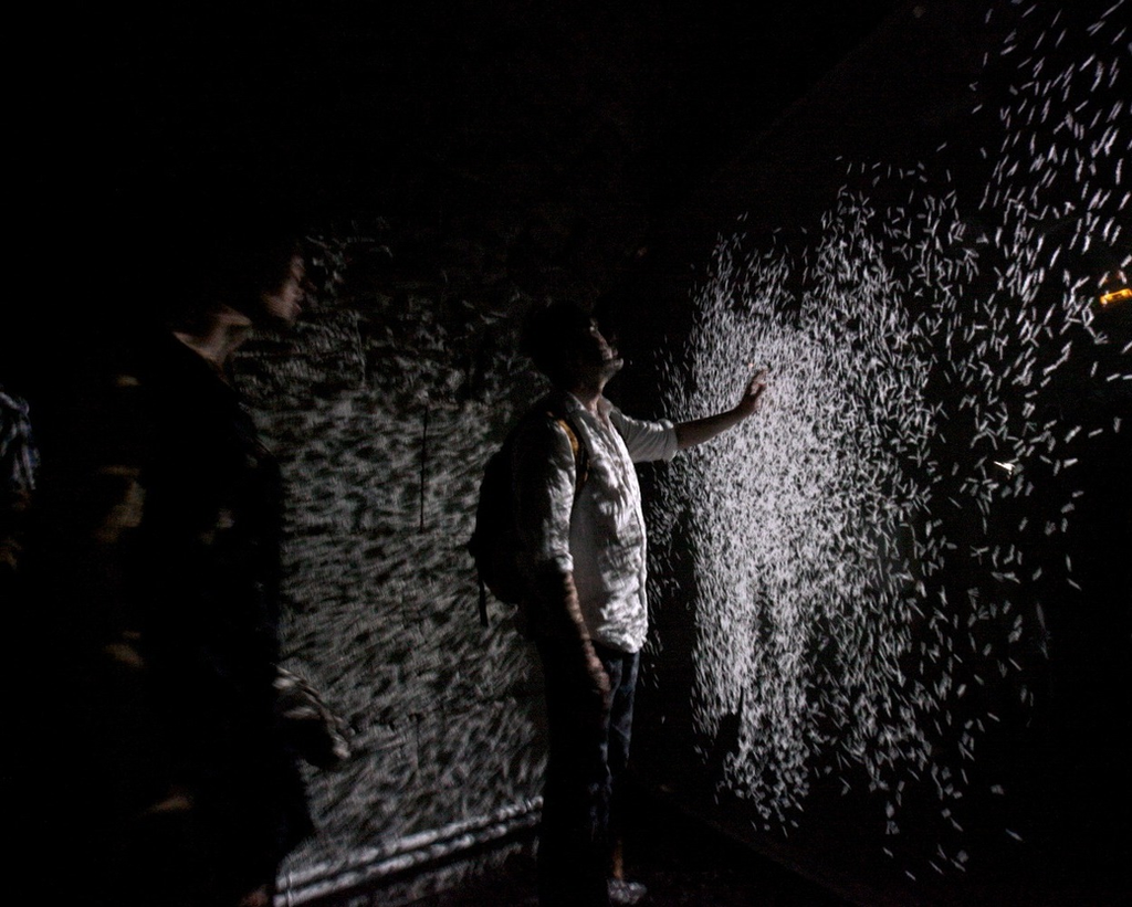 BLOG | Digital Experiences | Museum-Quality Art | ARTECHOUSE | Miami, FL