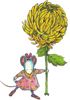 “Chrysanthemum”