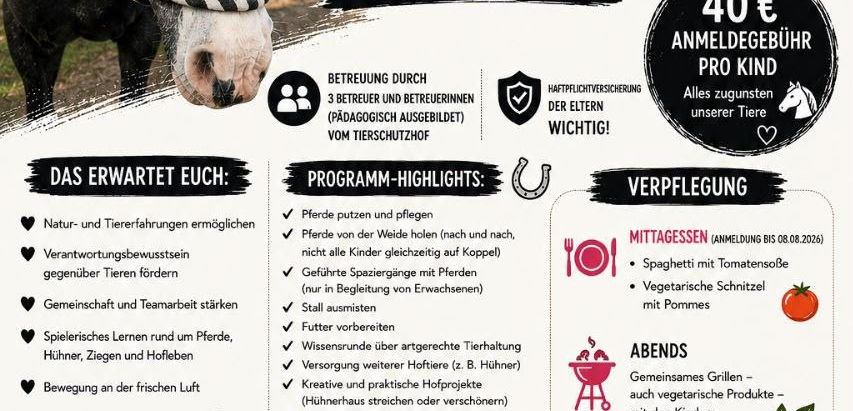 Sommerferienfreizeit 2026