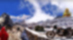 bigpic_lama_yak_sLASTSHANGRILA3.jpg