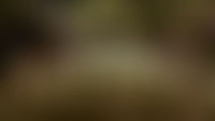 Wsi spokojna, wsi wesoła