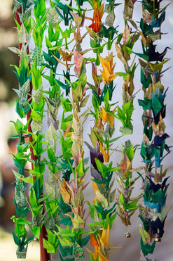 Origami - Jamii - Echoes - Photo by Laura Dittman -  5.jpeg
