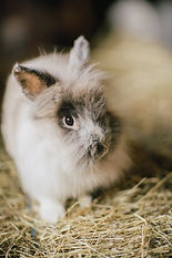EmmaMcMahanPhotography-131.jpg
