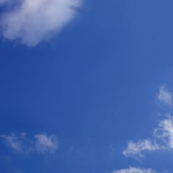 JWA_031_250x250_C3.gif