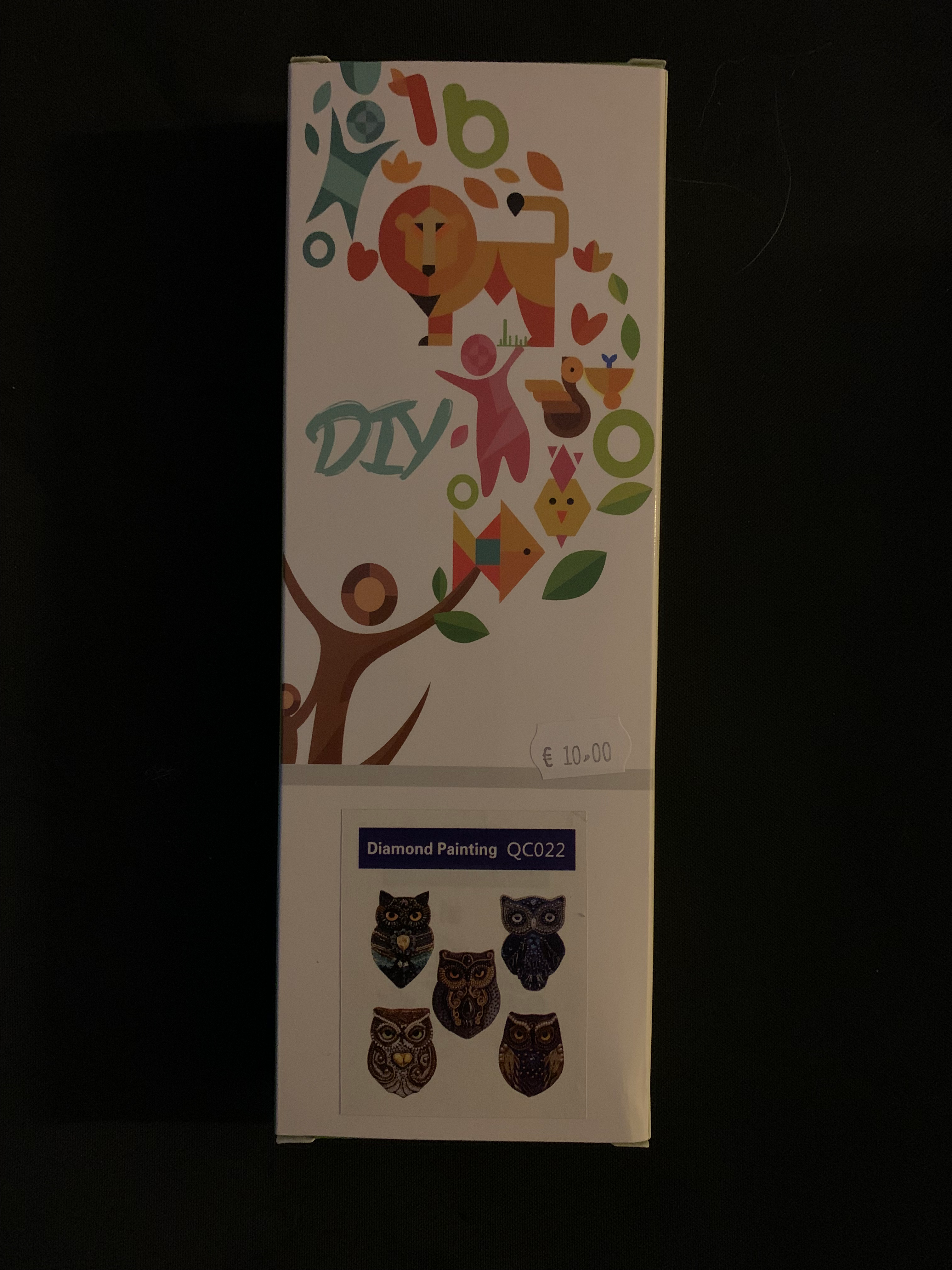 Diamond Painting Sleutelhanger Uil