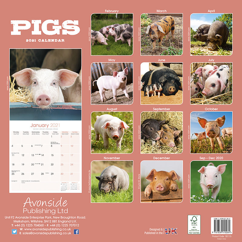Thumbnail: Kalender Varkens