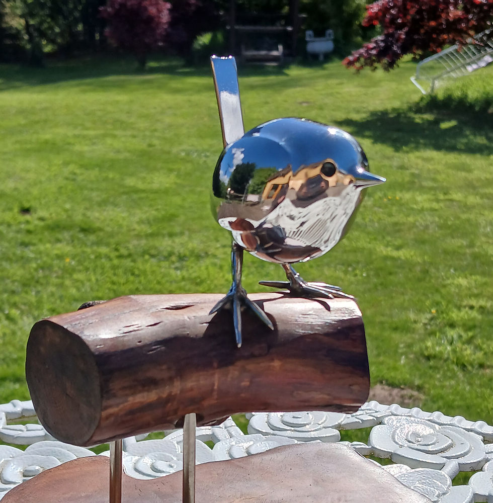 Thumbnail: Wren on branch