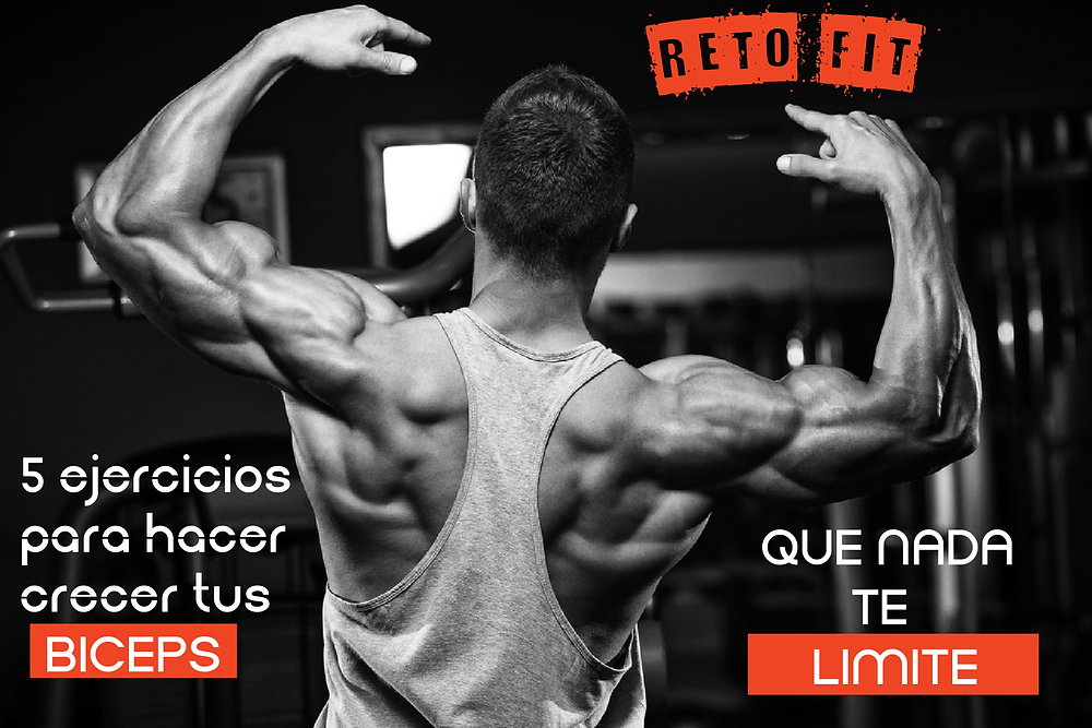 Los 5 mejores ejercicios para hacer crecer tus biceps