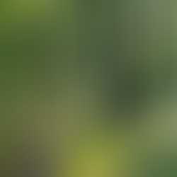 Ideas finding their places somewhere inside