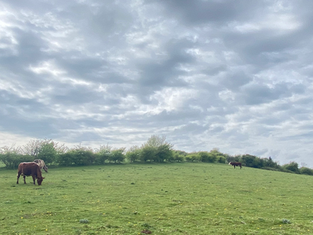 What is a pub crawl anyway?