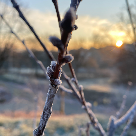 The first snow and Kateřina!