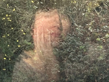 My thoughts after the wind…