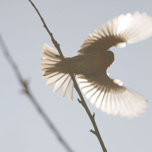 The Ripple Effect of Leadership: How You Leave the Room Matters More Than You Think