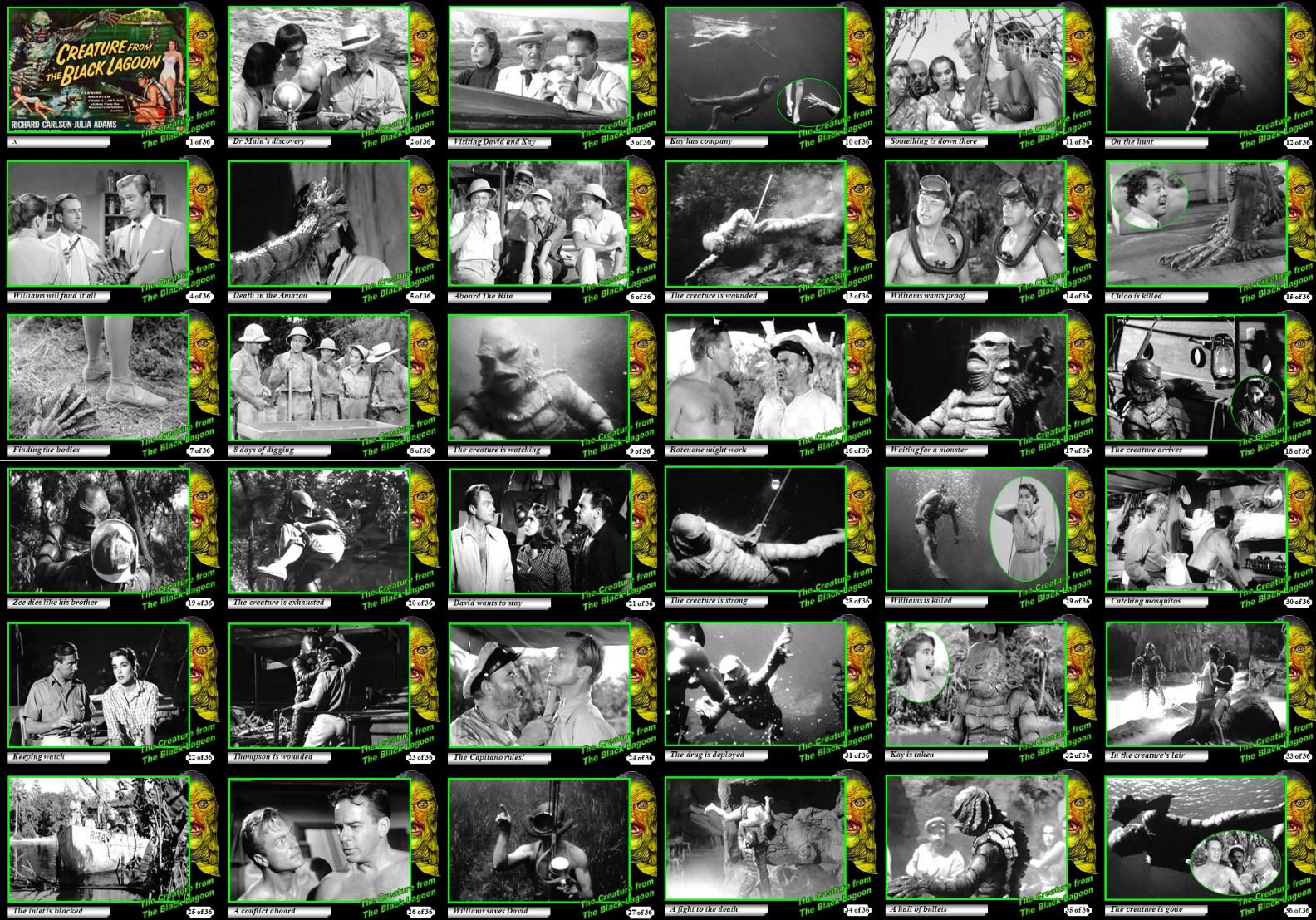 The Creature from The Black Lagoon (1954) Storyboard Cards