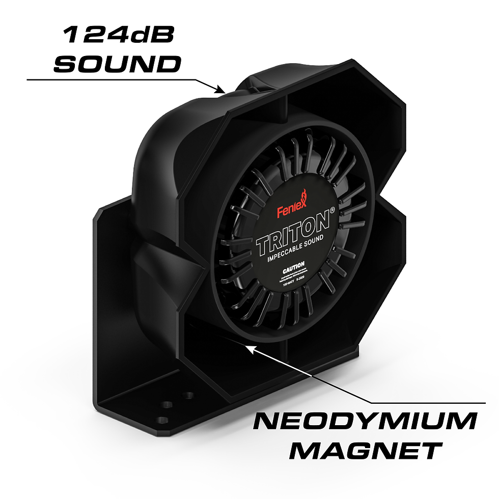 Thumbnail: Triton 100W Speaker