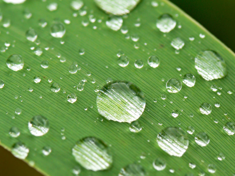 gotas de agua