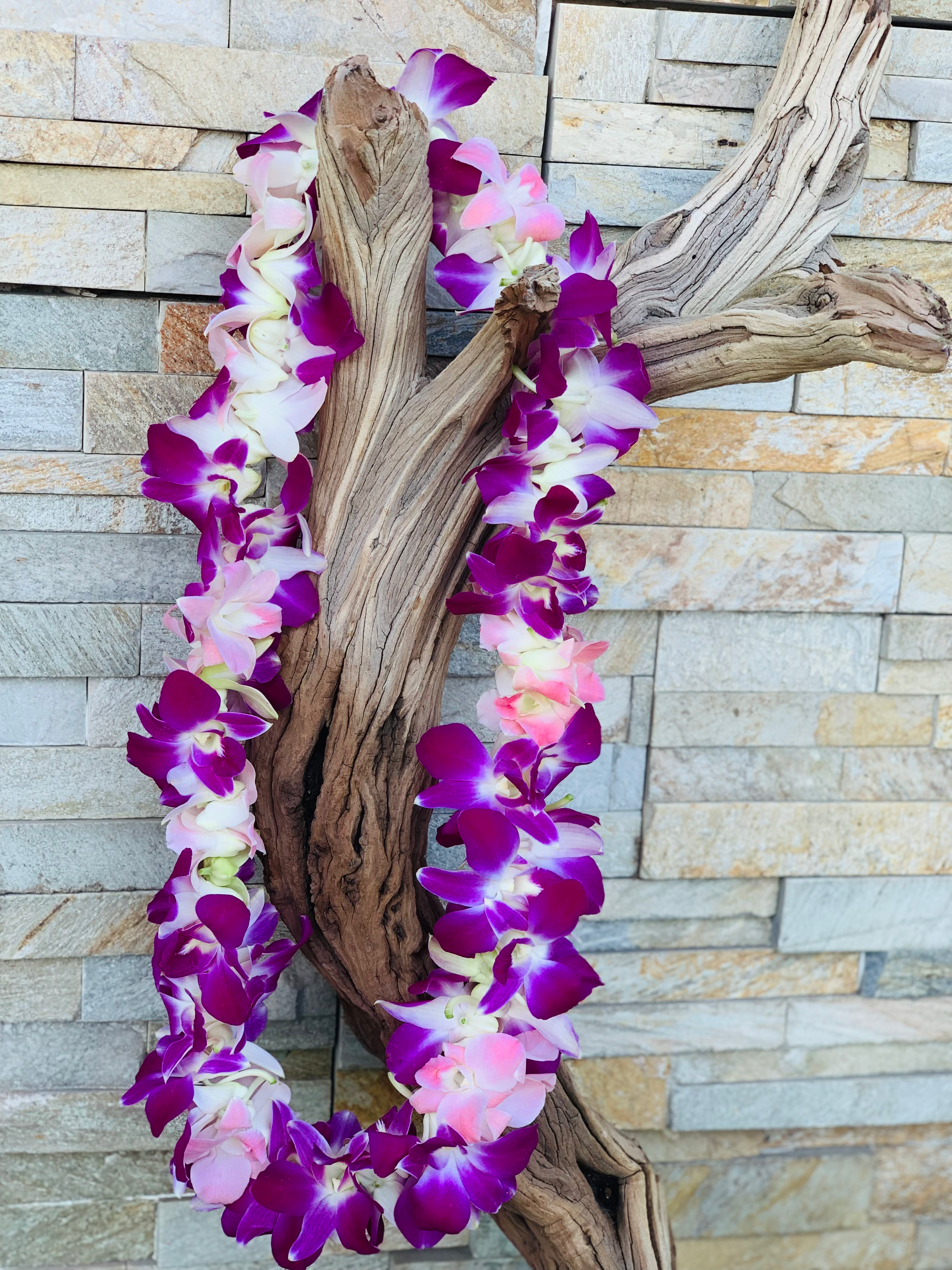 Leis