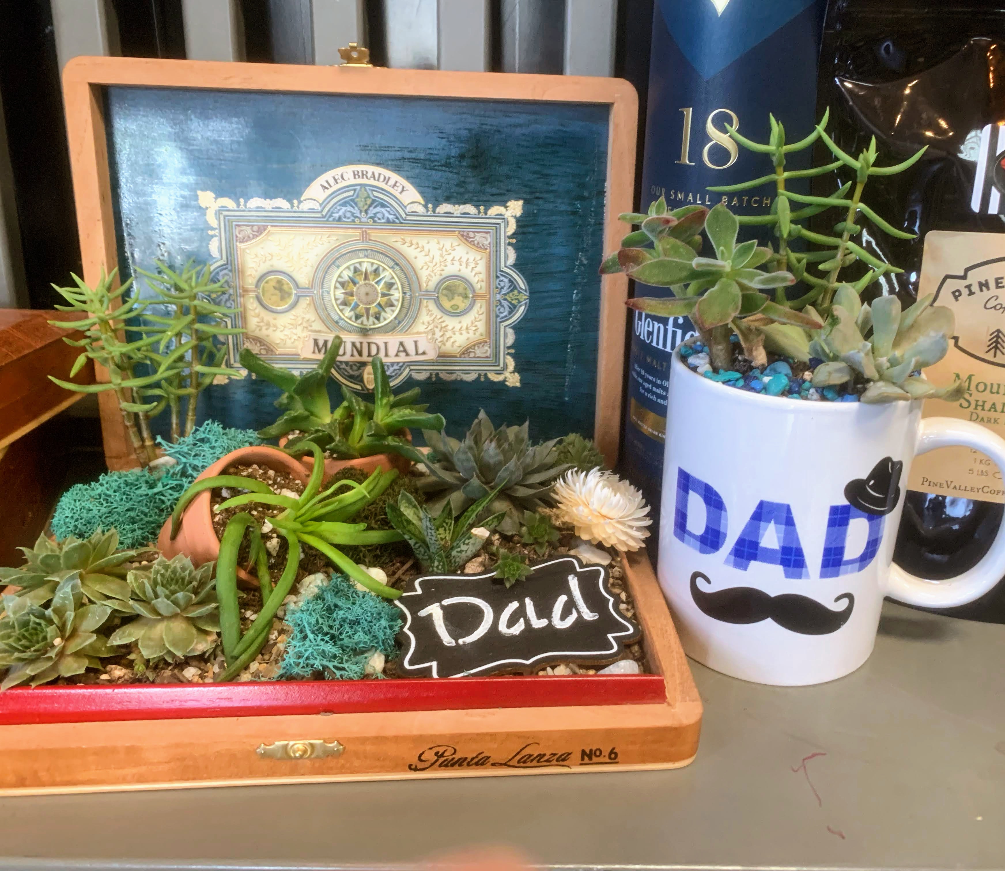 Cigar Boxes