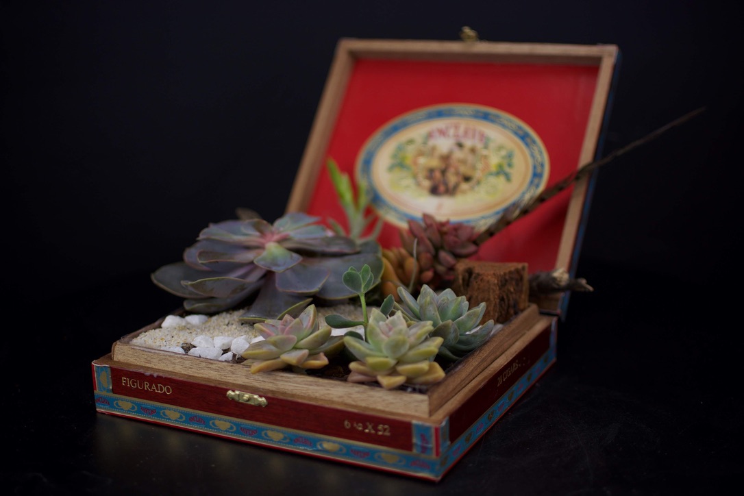 Cigar Boxes floral arrangement by Joannie's Florals & Events in San Diego