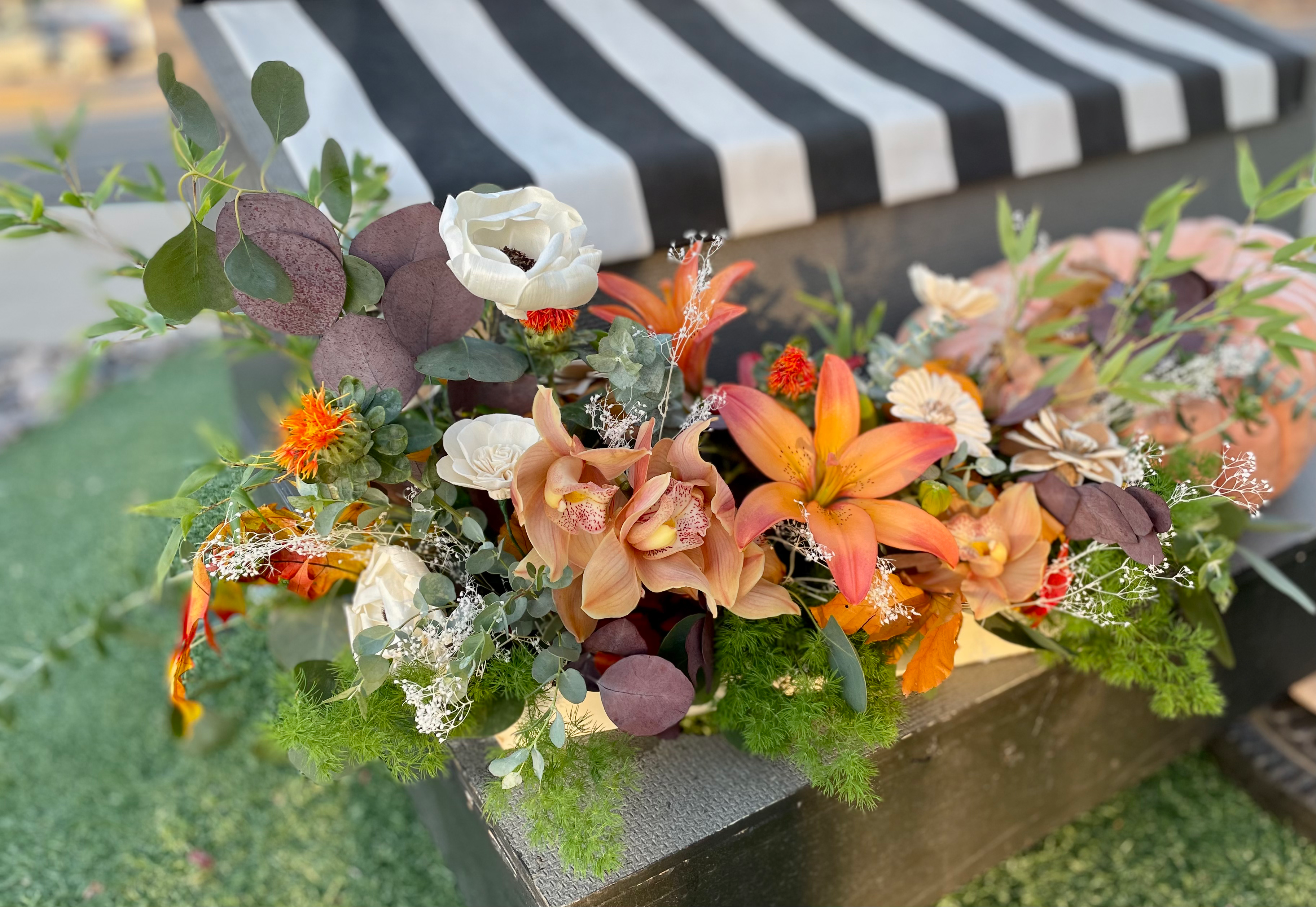 Harvest Rhapsody